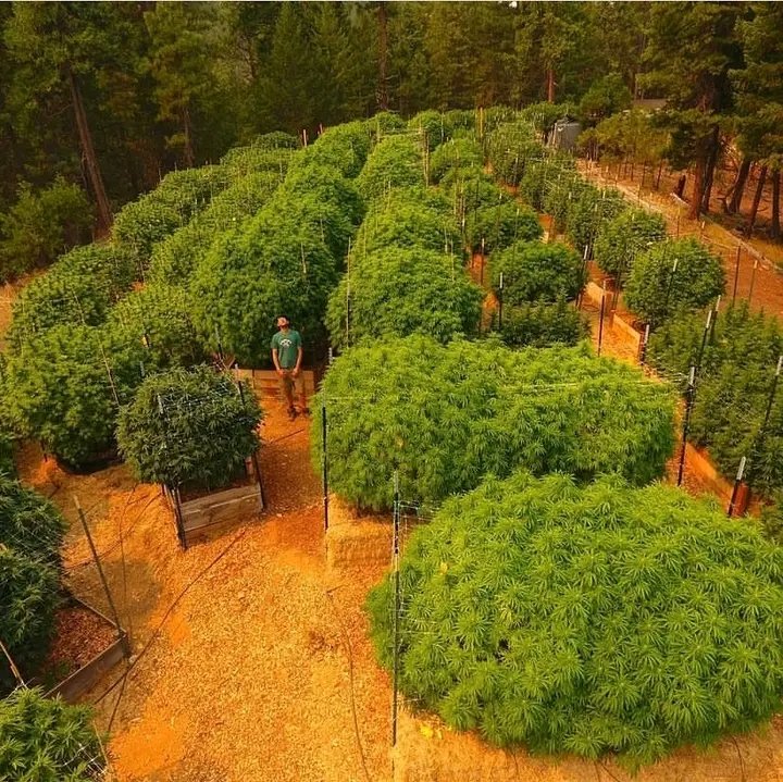 robert89486's tweet image. 