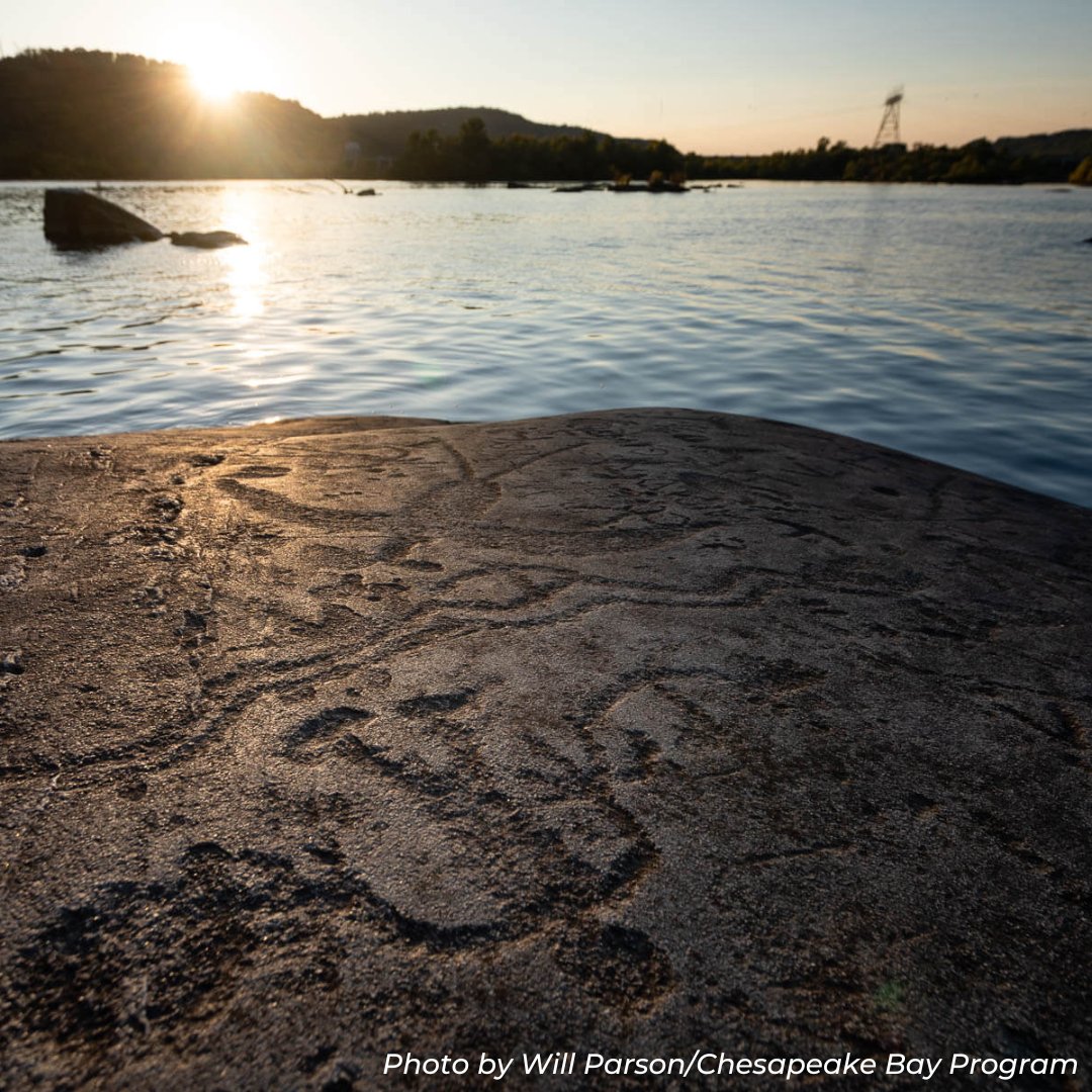 DYK? Centuries-old Susquehanna petroglyphs give history a personal touch: On a series of large rocks in the middle of the Susquehanna River, the story of the region’s inhabitants is etched in stone.

Read more ➡️ bit.ly/2TnZZLv
#HealthyWatersPA #BayAwarenessWeek