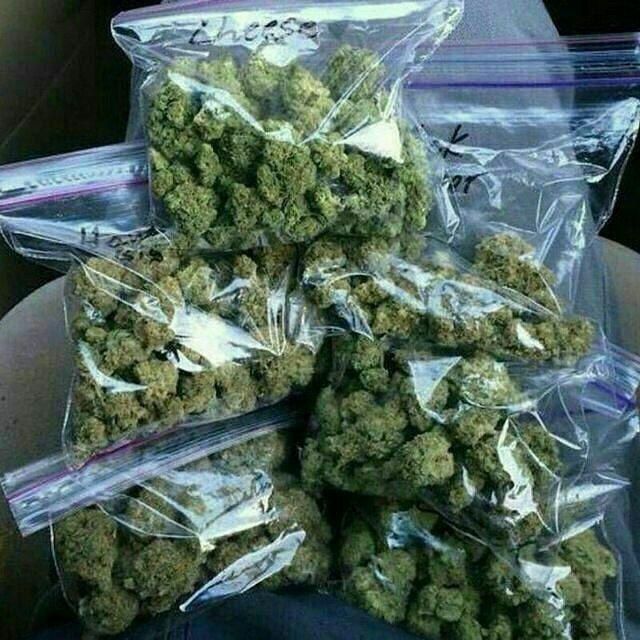 robert89486's tweet image. 