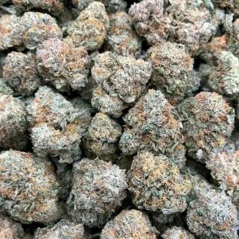 robert89486's tweet image. 