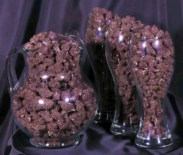 robert89486's tweet image. 