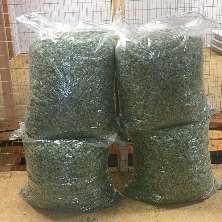 robert89486's tweet image. 