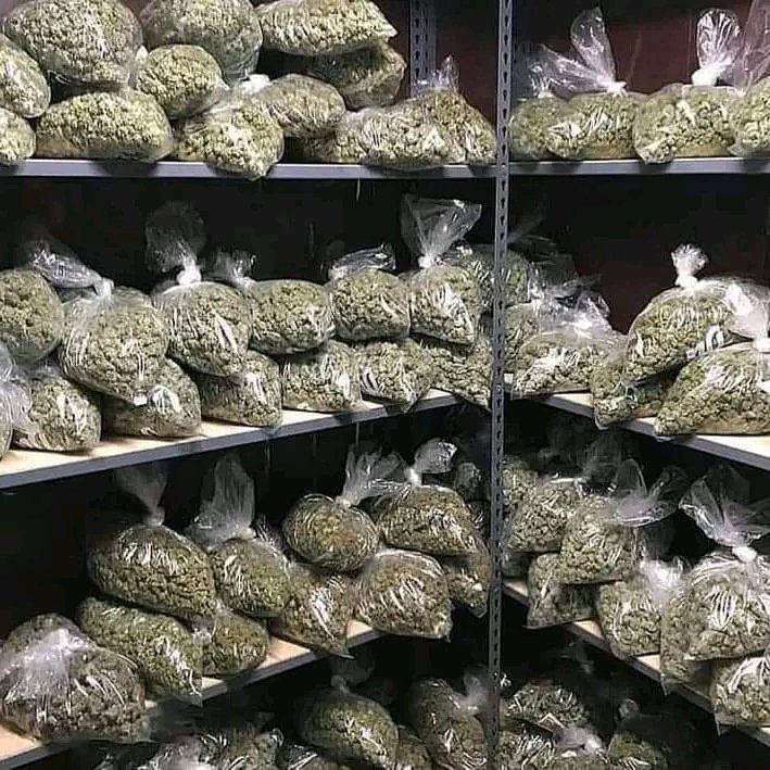 robert89486's tweet image. 