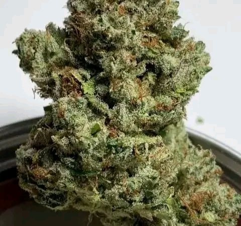 robert89486's tweet image. 