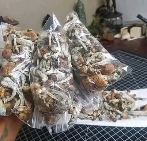 robert89486's tweet image. 