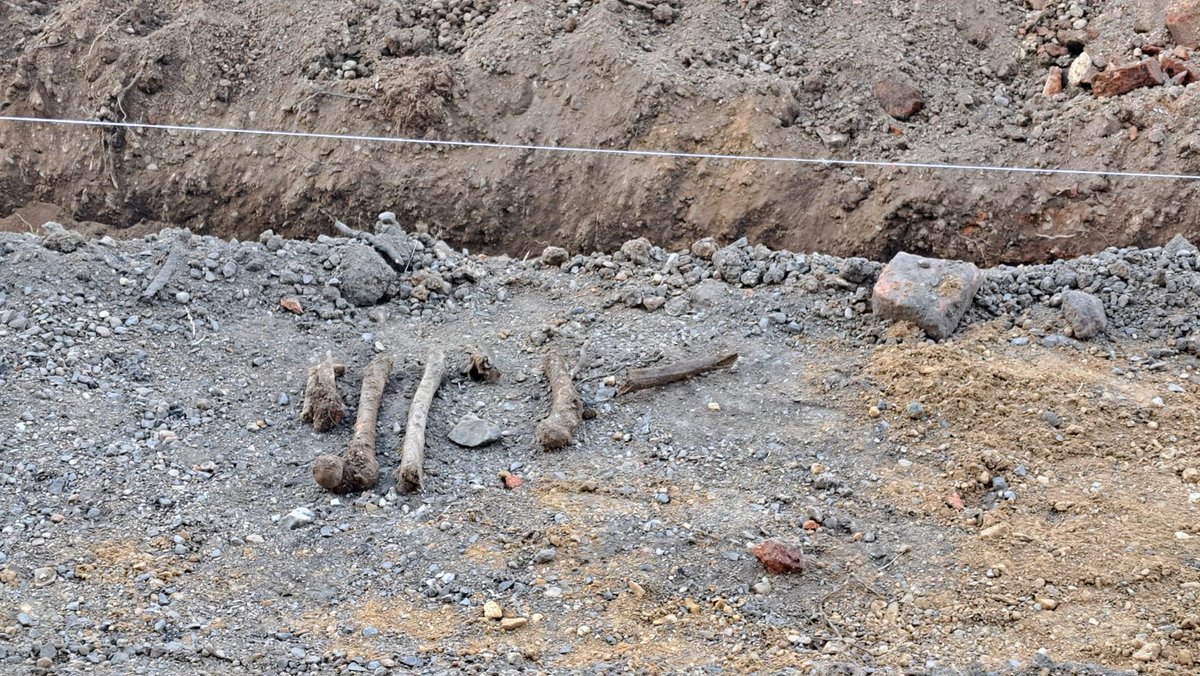 Pl. Słowiański w Legnicy, czyli teren nekropolii Oberkirchoff. Ludzkie kości walają się na hałdach. Policja zbywa sprawę i każe się trzymać z daleka.