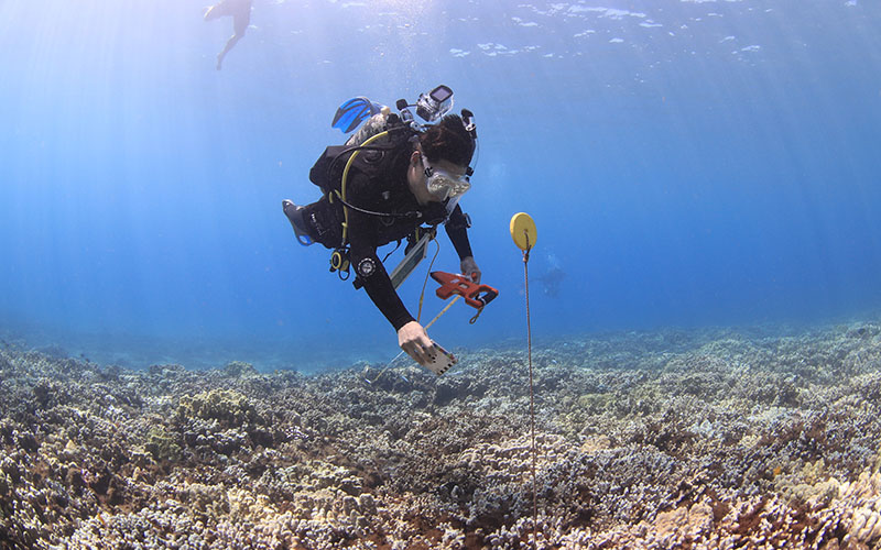 Scripps Institution of Oceanography (@scripps_ocean) on Twitter photo .<a href="/OrionMcCarthy/">Orion McCarthy</a>, Scripps marine biology PhD student, uses 3D #CoralReef models to study how coral reefs in #Maui are changing over time in response to global #ClimateChange and local human impacts. 🪸Learn more about this exceptional scientist! ⬇️ .<a href="/OrionMcCarthy/">Orion McCarthy</a>, Scripps marine biology PhD student, uses 3D #CoralReef models to study how coral reefs in #Maui are changing over time in response to global #ClimateChange and local human impacts. 🪸Learn more about this exceptional scientist! ⬇️