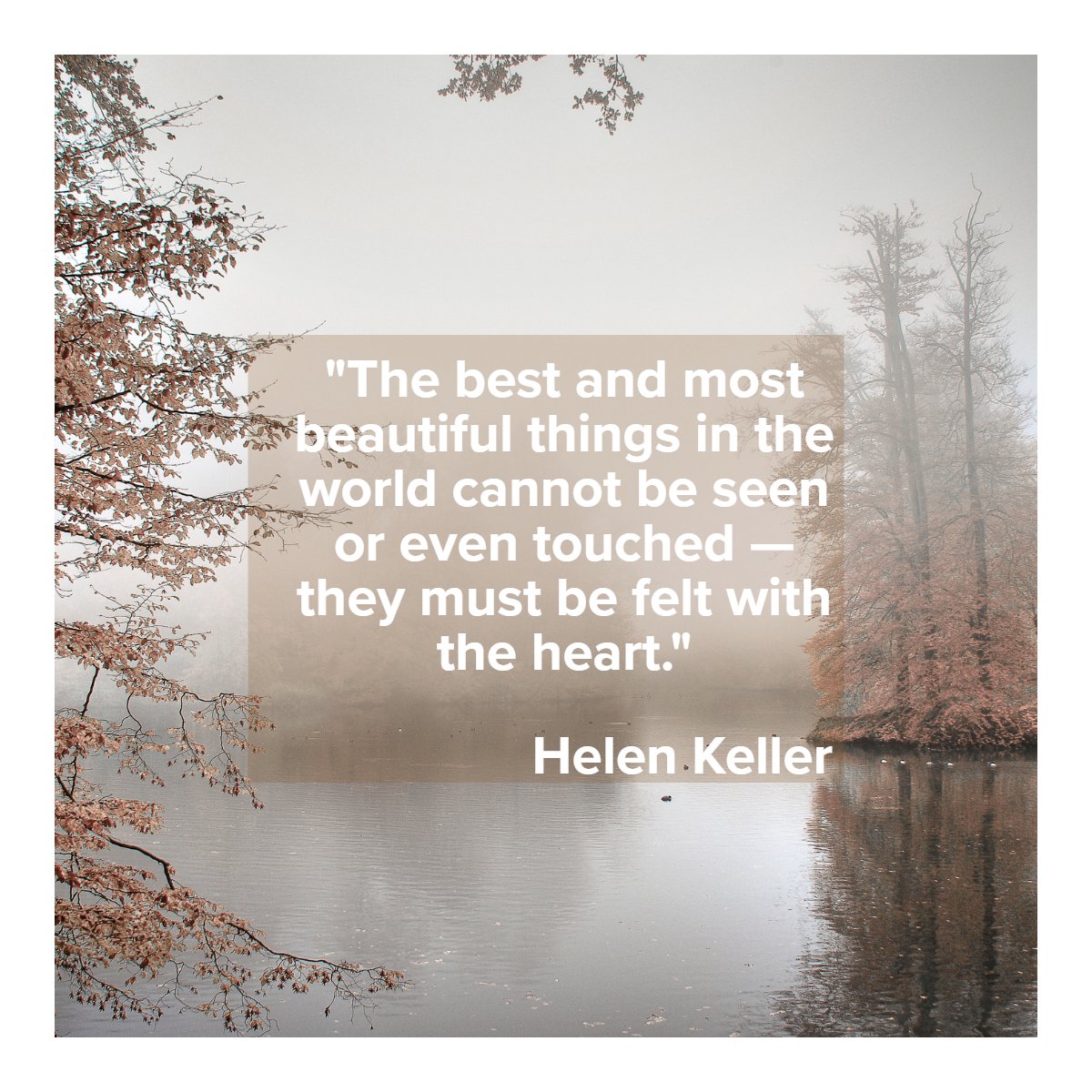 'The best and most beautiful things in the world cannot be seen or even touched - they must be felt with the heart.'
— Helen Keller

 #instaquote    #wisdom    #quoteoftheday 
#YourPerfectHome #CRayBrower #SanJoaquinCounty #StocktonCA #RealEstate