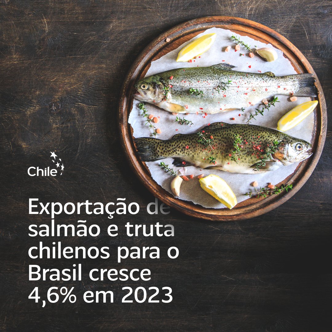 Os produtos do mar chilenos, como salmão e truta, estão sendo cada vez mais apreciados pelos brasileiros. Em 2023, as exportações desses itens continuam em crescimento. No primeiro trimestre deste ano, as exportações desses peixes totalizaram US$ 216 milhões.

#salmãochileno