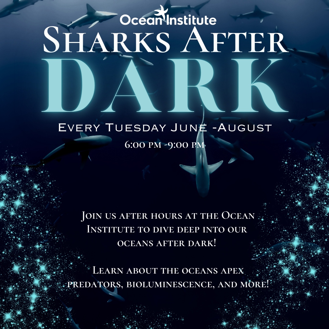 Ocean Institute tweet media