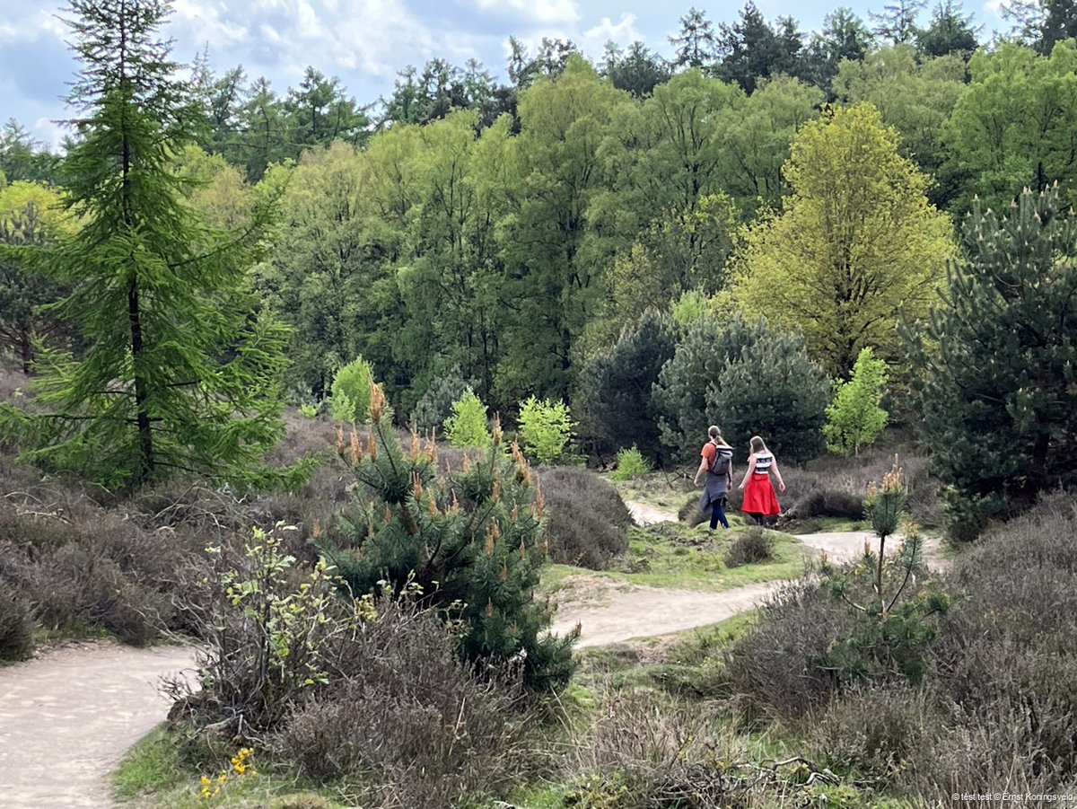wandelnet's tweet photo. Gieren de #zomerkriebels al door je lijf? Ga eens op #wandeldate! 💕 Samen wandelen is immers gezellig én leidt vaak tot goede gesprekken. Lees hier over wandeldaten: https://t.co/m7tcjD4VRz 🥾
📸 Ernst Koningsveld
#wandelen #daten #date #onlinedaten #opavontuur #wandelmaatje https://t.co/EjKjVCTnx6