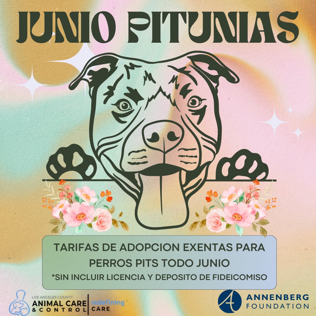 🌸🐾 Adoption Alert! Introducing the June Pitunias Adoption Promo! 🐾🌸 That's right, we're waiving adoption fees for pits for the rest of June (minus license and trust) to help these amazing pups find their forever homes. 🌺🏠