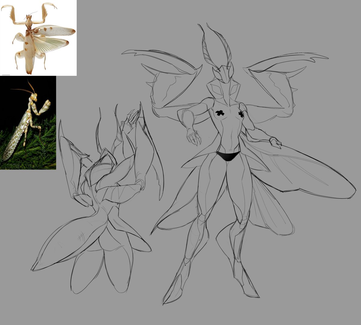 Candy_CoralZ's tweet photo. adopt wip🍃 https://t.co/btLCJ0QXXK