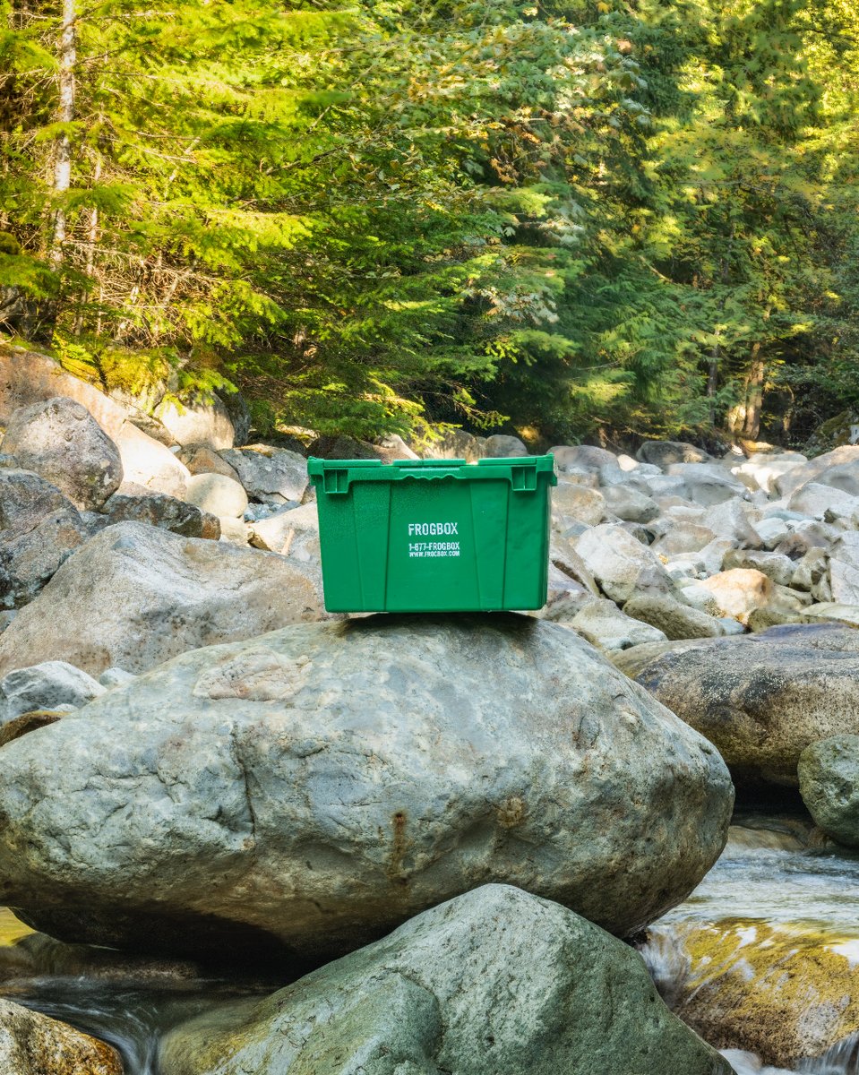 FROGBOX's tweet image. Nature's beauty and moving sustainably go hand in hand with #Frogbox. Our reusable boxes make packing a breeze and are perfect for any forest adventure. 

#sustainablemoving #greenmoving #movinginnature