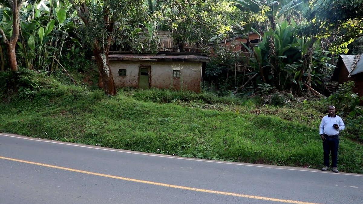 Ihuriro Mibilizi-Mushaka tweet media