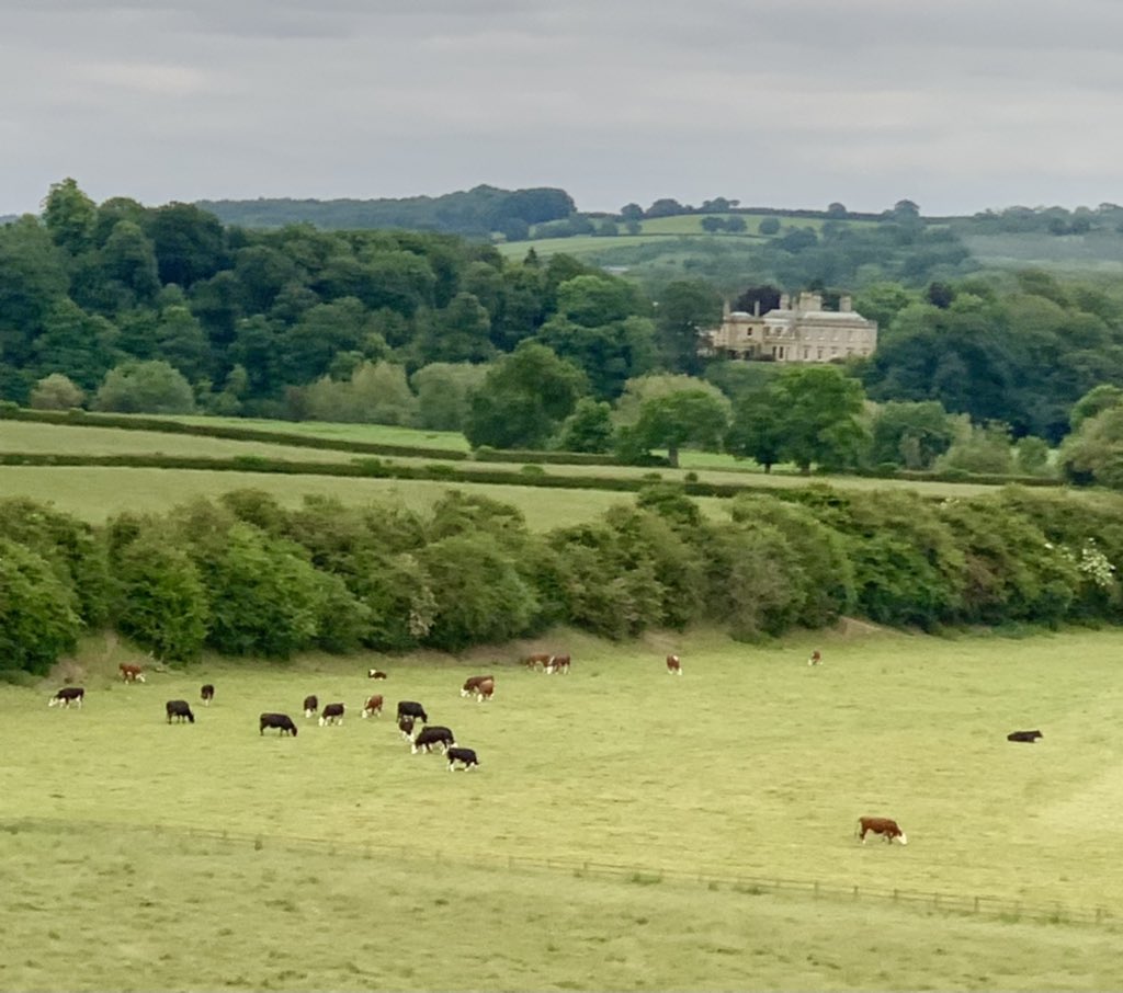As seen from the train, Arthington Hall #westyorkshire