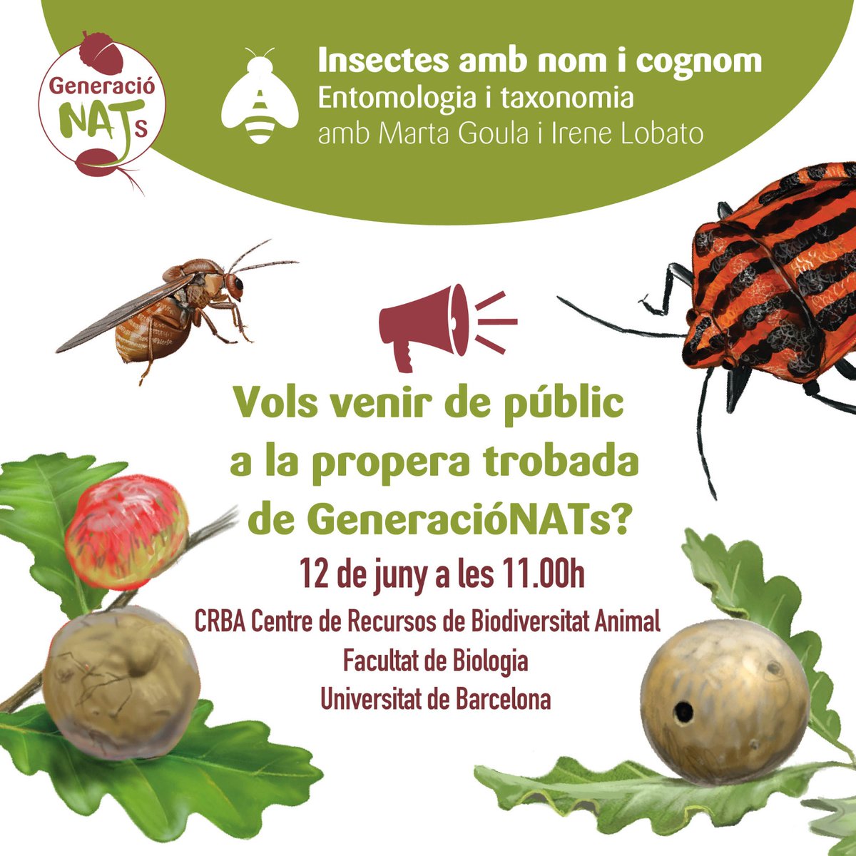🐝📢 T'agraden els insectes? Això t'interessa! 👉🏼 El proper dilluns 12 de juny a les 11:00h fem el sisè i últim #GeneracióNATs, i en aquesta ocasió tens l'oportunitat de venir de públic! 😊 Vols saber com? Segueix el fil! 👇🏼🧵