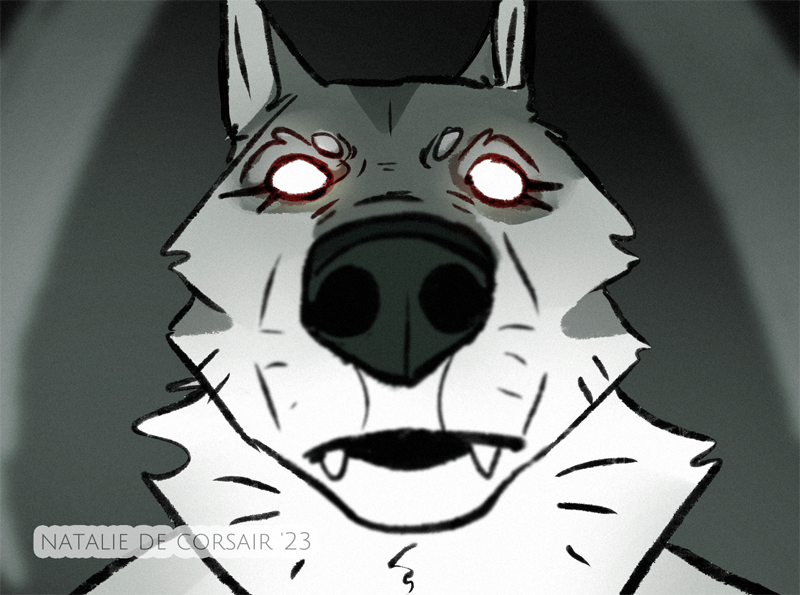 Natalie de Corsair 🐸 tweet media