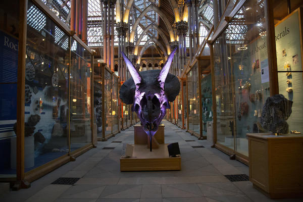 4 weeks to go. Only a few tickets left! Thurs 6th July Oxford Aortic Symposium 2023 followed by A(ortic) Night at the Museum 😉 at the Oxford University Museum for Natural History @RouleauxClub @BSIR @IR_juniors @ThinkAorta @CircFoundation @VSGBI @FRCSvascular @BSETnews