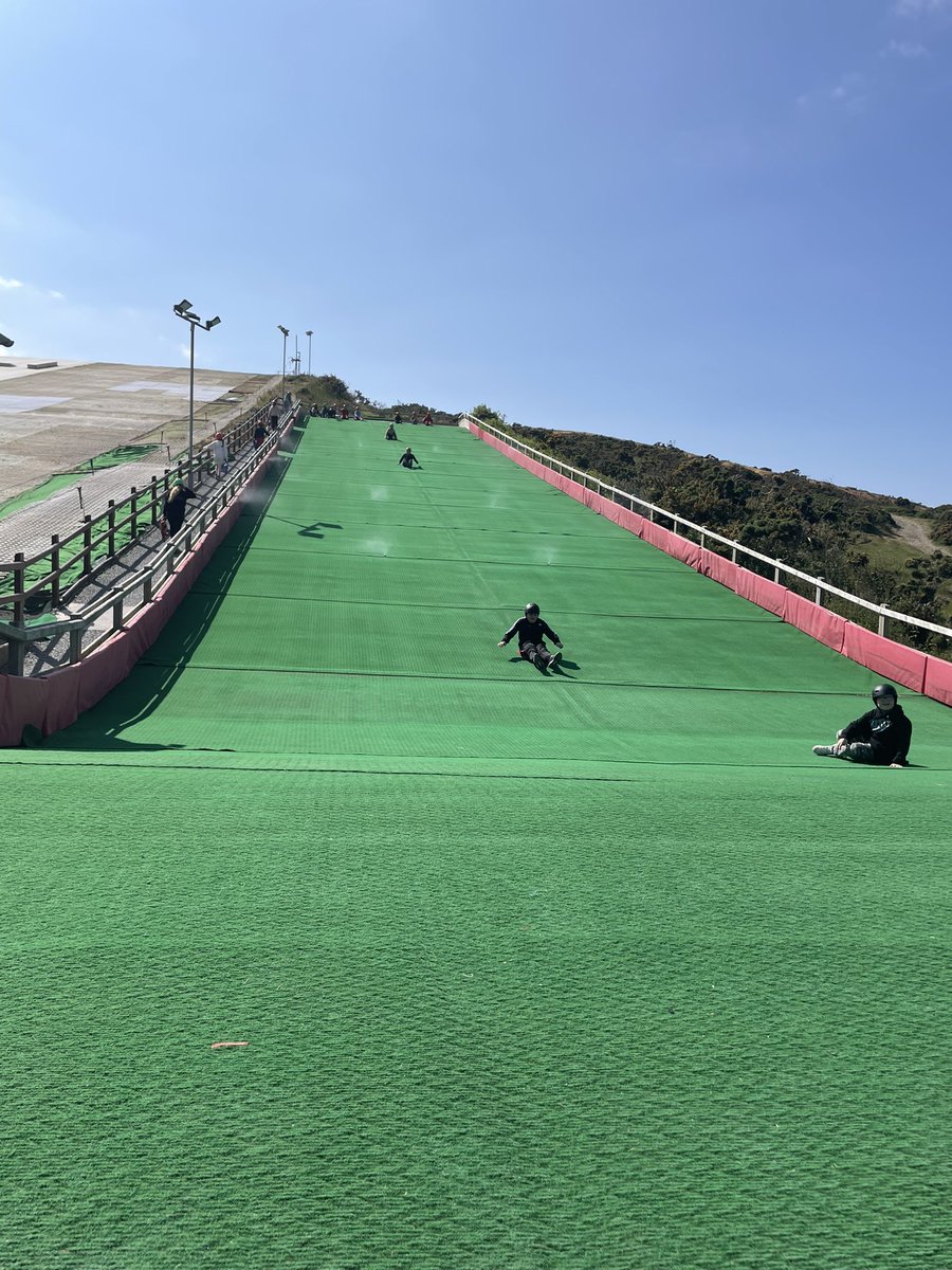 Rhigos Primary tweet media