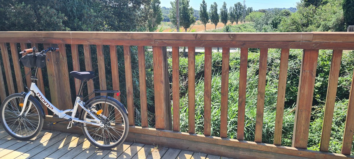 Jordi Oliveras tweet media