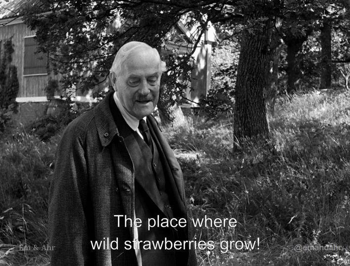 📽️| Wild Strawberries (1957) 🖤

- Dir: Ingmar Bergman
#ingmarbergman
emandahr.com/products/ingma…