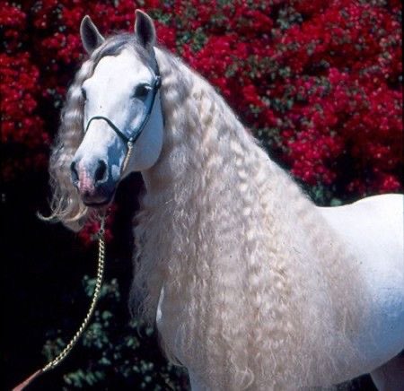 MarcelaErcia's tweet photo. #TEAMSTALLION❤️

@italianostyle2 
@FlorMeninnaa 
@MarEthr  
@MarcelaErcia
@Soraya123455 
@MrMrnagah 
@adityasingh7865 
@lumpie125 
@balbirs1728 
@Dark_Camus 
@MIHaque10 
@Ra_00786 
@nbea_h 
@WidzDj  
@R3_Adv 
@BeatriceLacy 
@Maria_Dzadina
@maddykins133 
 https://t.co/lnqHrV5TpA