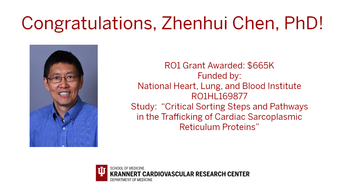 IUKrannertHeart's tweet photo. Congratulations to KCVRC investigator Zhenhui Chen, PhD @IUMedSchool on receiving a R01 Award from @nih_nhlbi to better understand how membrane proteins are distributed to different compartments in #heartmuscles, to develop new drugs to relieve adverse symptoms of #heartdisease! https://t.co/thvsifmgYI