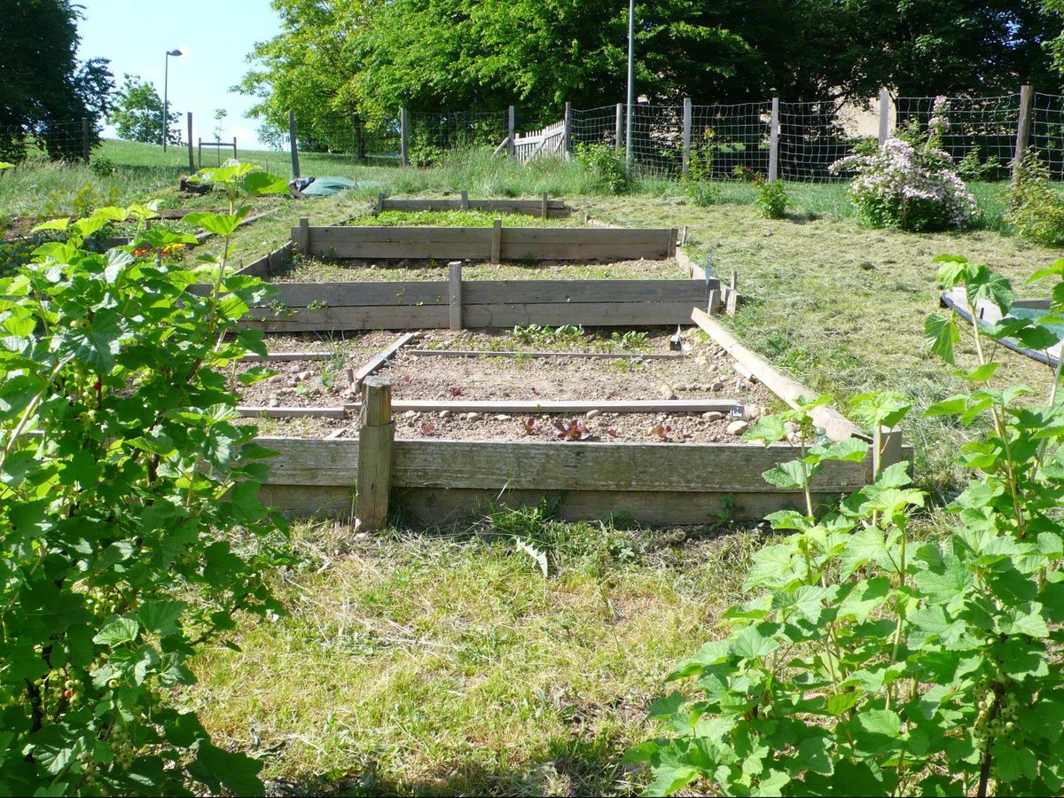 brunobernard_fr's tweet photo. 🌱🌼🌻 Ces 20 dernières années, la Métropole de Lyon a fièrement soutenu la création de 40 jardins partagés, familiaux et d'insertion répartis sur 22 communes. Ils font partis de notre territoire et de notre histoire. https://t.co/hloWPCA18c