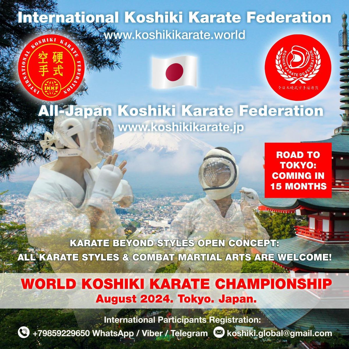 COMING IN 15 MONTHS 🔥 Open for all karate styles & combat martial arts! Free application: KOSHIKI.GLOBAL@GMAIL.COM #koshikikarate #karatebeyondstyles #sports #event #promotion #硬式空手 #空手