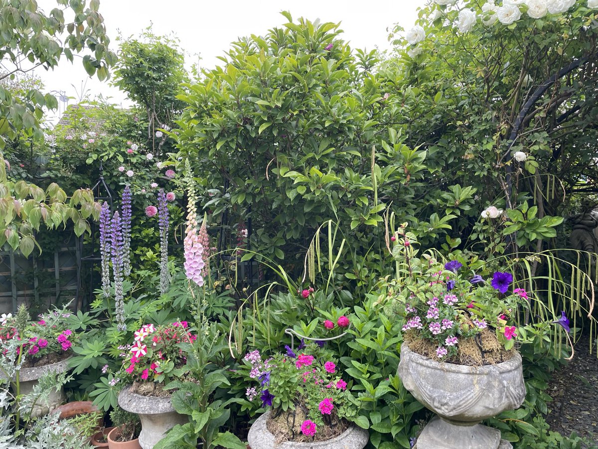 shelfey123's tweet photo. Please share this Tweet among your friends and family and join us for tea and cake in a beautiful garden.  The more the merrier! 
Proceeds will be donated to Hayward House and to SWAN end of life care to help create special memories.
Thank you xx https://t.co/yqf6xQcQgj
