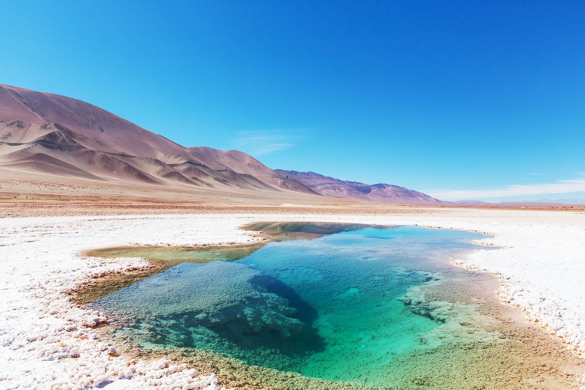 proactivoperu's tweet image. ⚒️ Canadiense Alpha Lithium rechaza intención de #Tecpetrol de lanzar oferta de compra

👉🏼 Link: proactivo.com.pe/?p=700765

#AlphaLithium #Litio #Techint #Minería