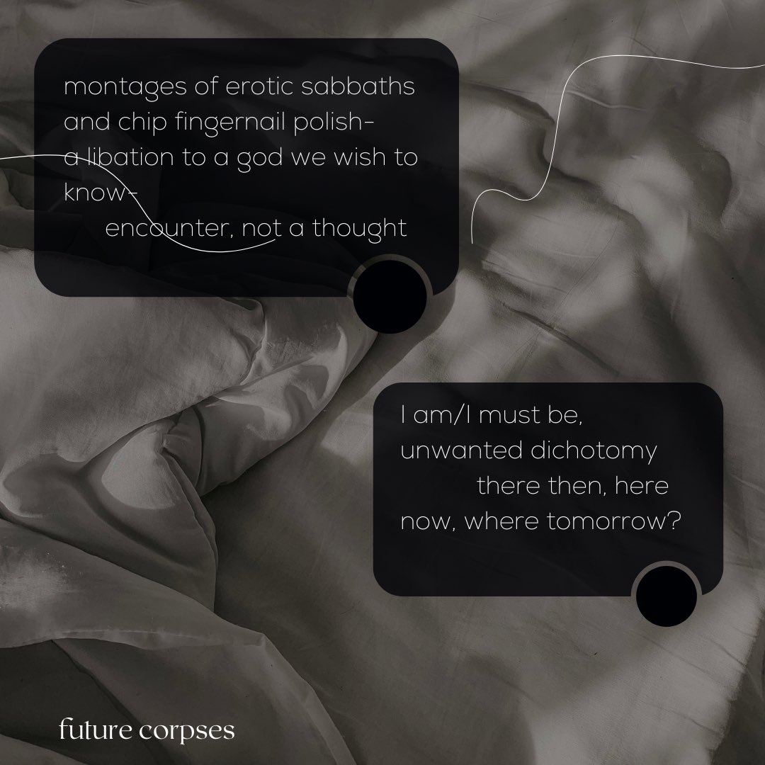 MusingHobbit's tweet image. 