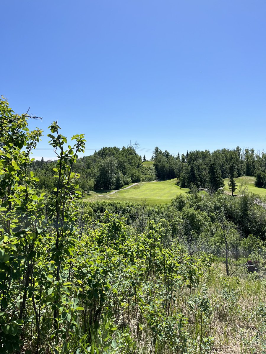 The sun is shining, the birds are singing and the golf clubs are swinging. It’s a beautiful day here at Jagare Ridge! #yeggolf
