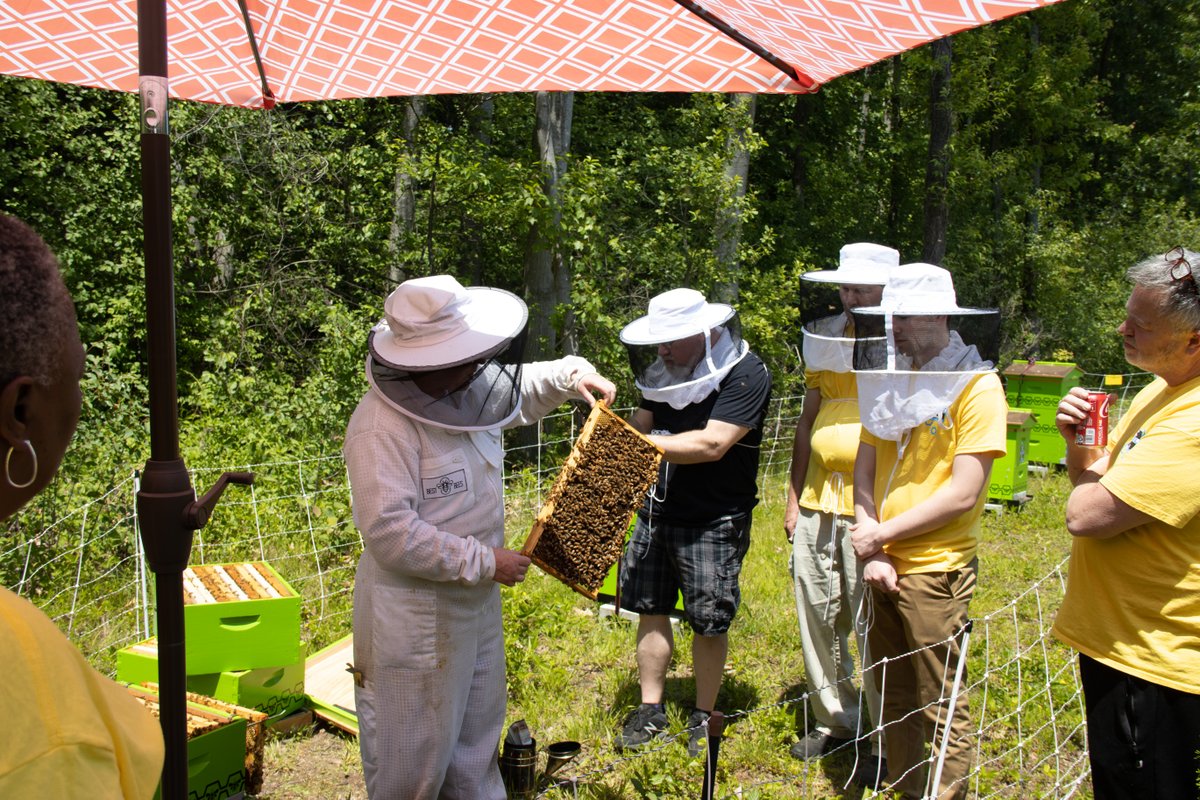 Excel Dryer tweet media