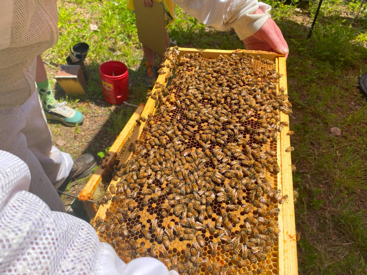 Excel Dryer tweet media