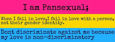 _InkedSkies's tweet photo. Its  Pride Month! And you know what. I AM PROUD! I am Pansexual. No it is  not the same as Bisexual. I fall in love with people for who they are.  Not what they identify as or their looks. HAPPY PRIDE MONTH ALL MY LGBTQI+ BEANIES https://t.co/n4JBnAFG7j