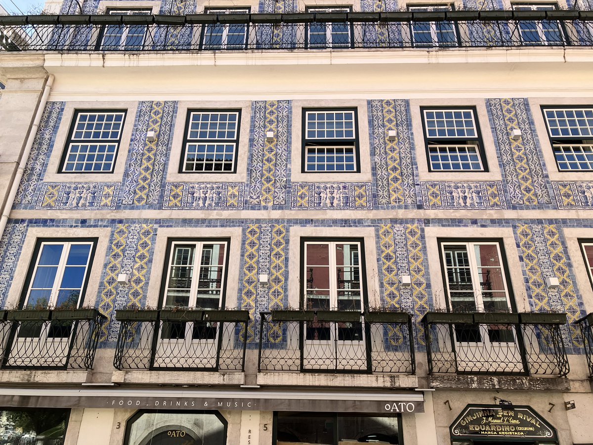 Bonnie Koenig tweet media