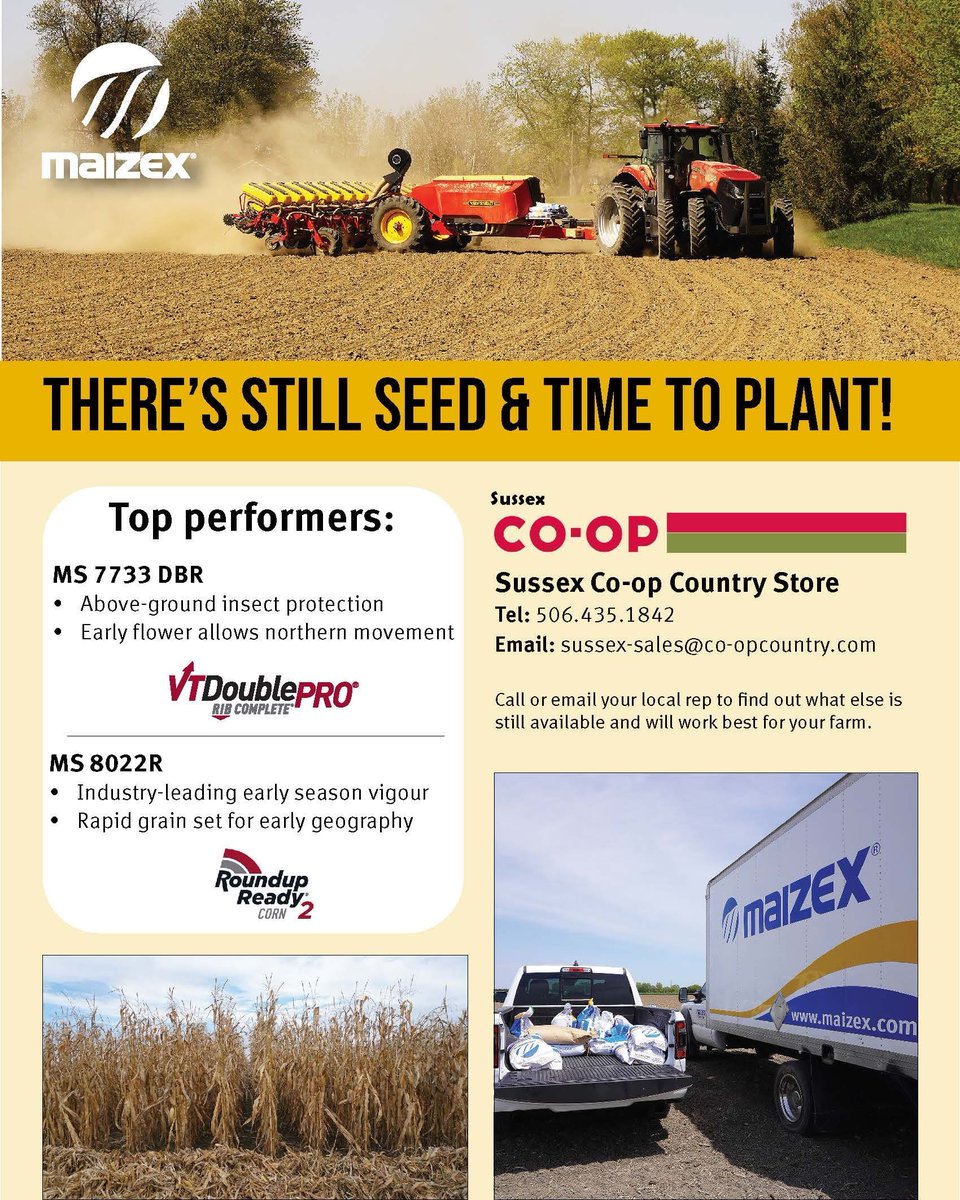 Call our sales rep, Micha to find what you're looking for! (506) 435-1842
