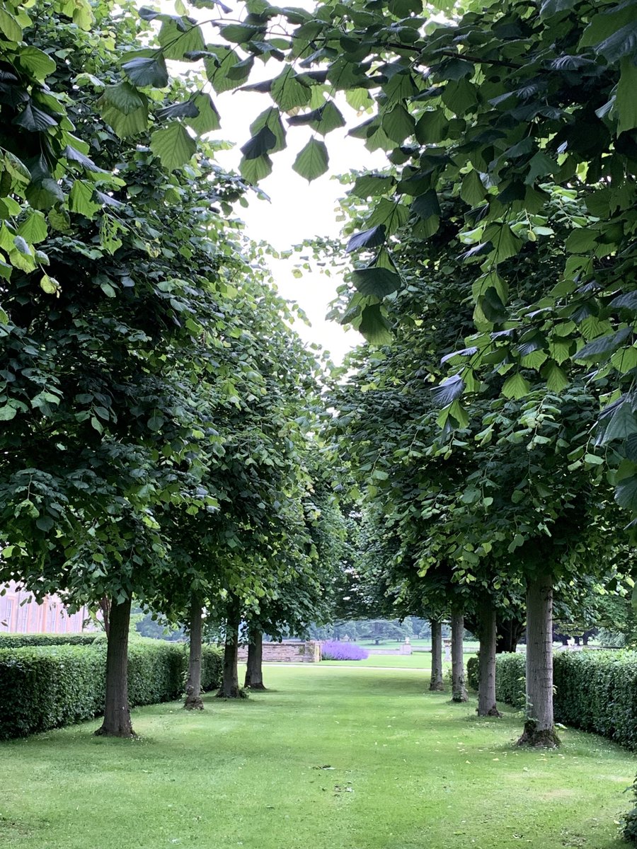 Charles Spencer tweet media