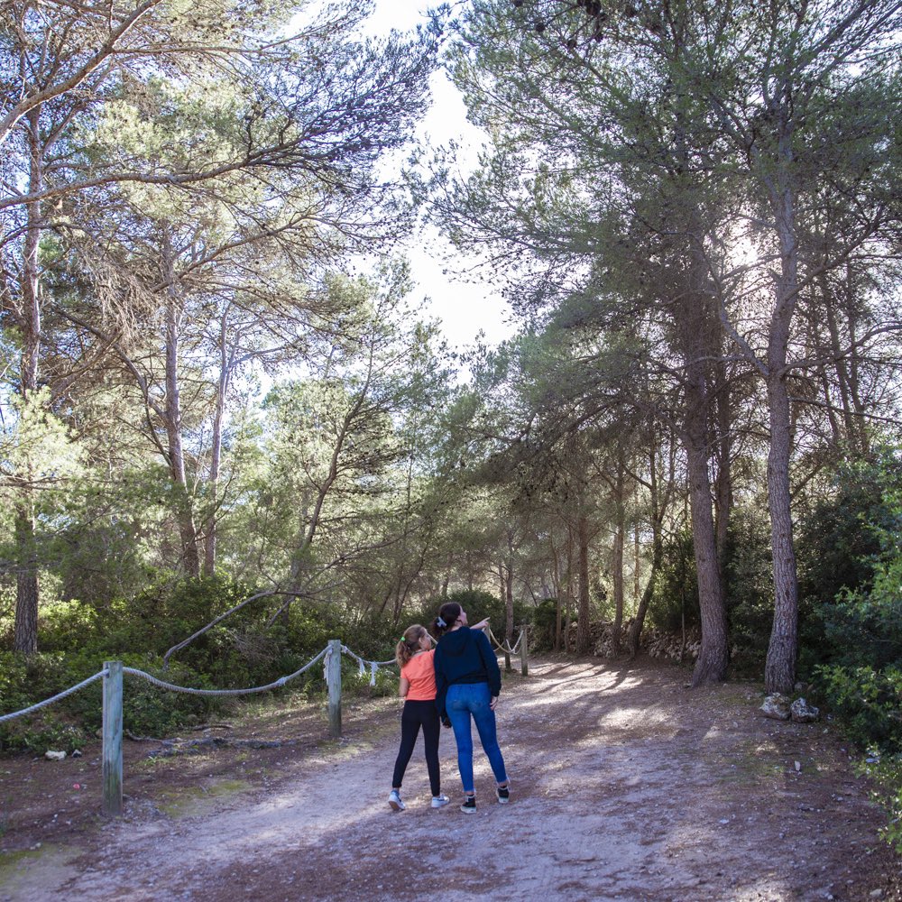 🌳 Macarella no és només una platja preciosa, el seu entorn també t’encantarà

6️⃣9️⃣ Per anar-hi has d’agafar el bus de la L69 

📲 Entra al web mou-tmenorca.com i troba els horaris 

#Mou-tMenorca #TransportPúblicMenorca #MobilitatCIME