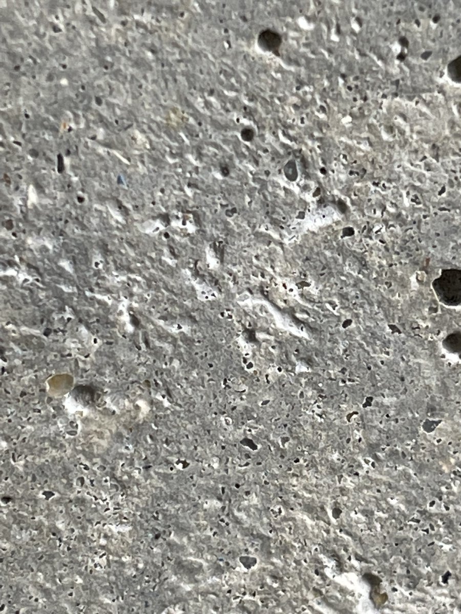 AnnaMacdonald4's tweet photo. #1 Concrete
Katy, at the library desk, said she finds the concrete comforting. It feels as if it can't move but I am told it does. See notes from Dance practitioner in residence at @IALS_law  at https://t.co/HSFbfXRkBF
#brutalism #concrete #dance #research #ials #workinprogress https://t.co/gld4Wkra03