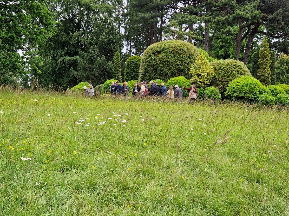 Fantastic afternoon at the Grade II*listed gardens <a href="/BrodsworthHall/">EH_Brodsworth Hall</a>, exploring the impressive #meadows and #gardens. Stellar work bring done by the <a href="/EnglishHeritage/">English Heritage</a> gardens team, can't wait to go back! <a href="/Love_plants/">Plantlife</a>