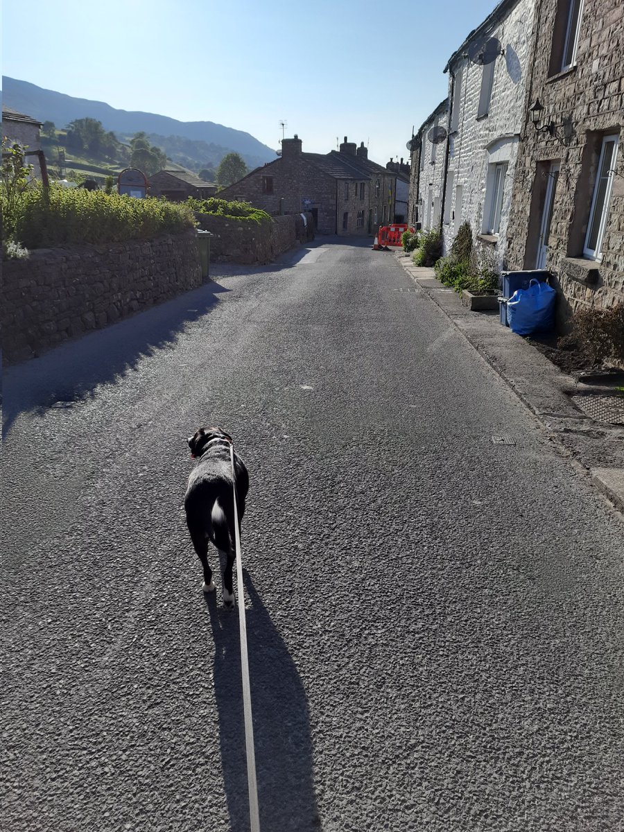 SteveFairchil18's tweet image. @AphasiaSupport  #bigstepchallenge 13817 steps today, I think Annie has zig zagged to at least double that, just over 90,000 so far for the month👍