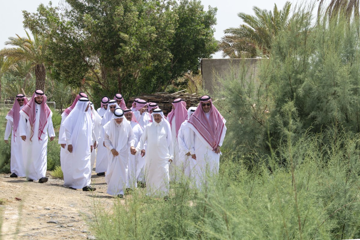 خلال الجولة.. 
• أكد سموه أن هذه العيون تُعد إرثا حضارياً يجسد واقعاً من تاريخ مركز #ينبع_النخل الذي كان بمثابة ممراً هاماً لقوافل الحجيج إلى مكة المكرمة.
• أشار إلى أن العناية بها وتأهيلها يحولها لتكون مورداً مائياً مستداماً يخدم المزارعين ويساهم في التنمية الزراعية بالمحافظة.