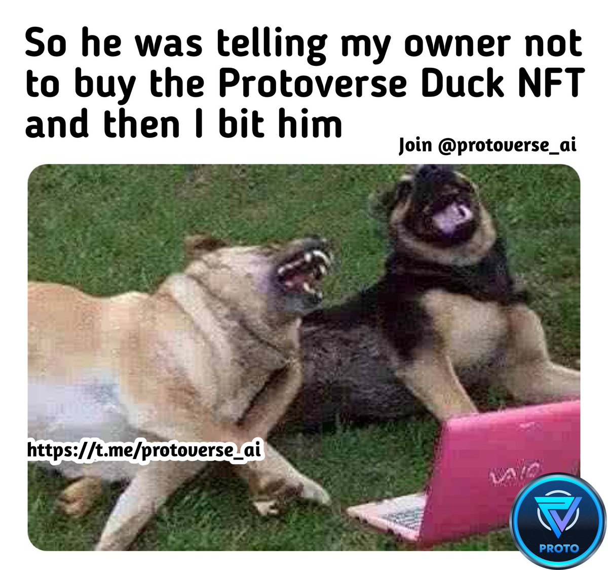 _FrancisNonny's tweet image. Come on guys let&apos;s get those memes for $Proto

#Protoverse
#ArbitrumLaunch
#Crypto