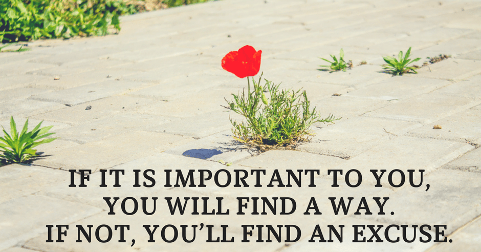 AdvancedChirop's tweet photo. Find the Way to Health - https://t.co/h3W1kRpX4w https://t.co/fEJk0Rhkjm