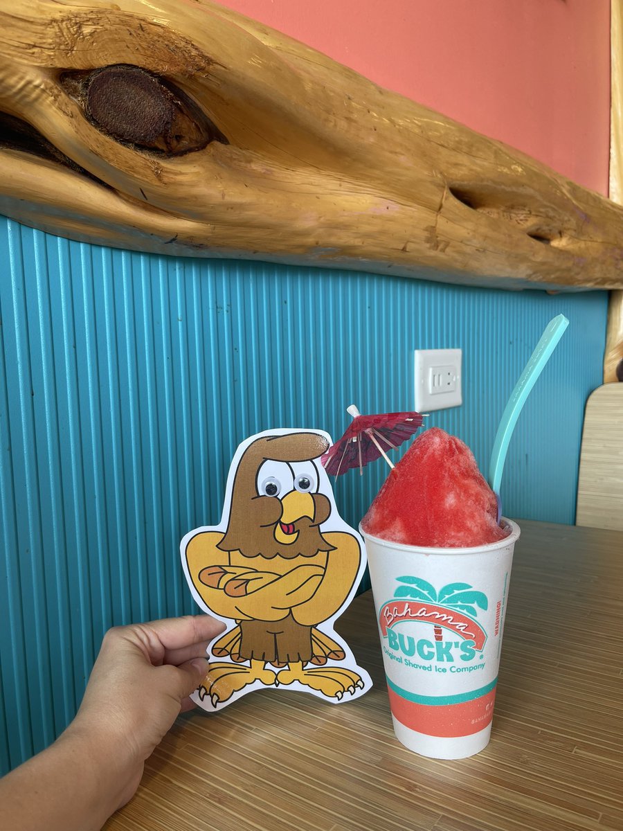 Henry enjoying a snocone at Bahama Bucks in Huntsville, Tx! 🍧 #AdventuresofHenryHawk