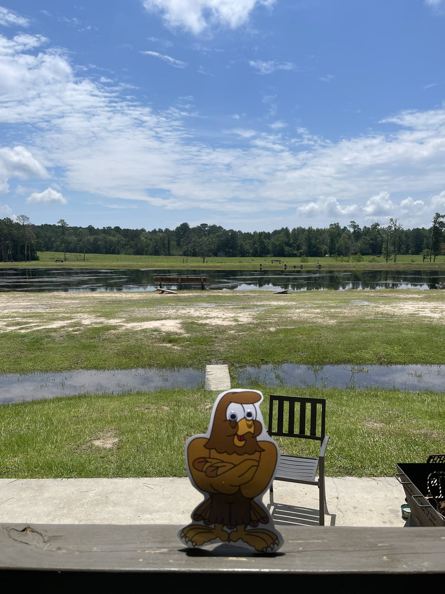 JadeGatHRE's tweet photo. Henry enjoying his time in Trinity, Tx! ☀️ #AdventuresofHenryHawk https://t.co/LVk8Q4JS4X