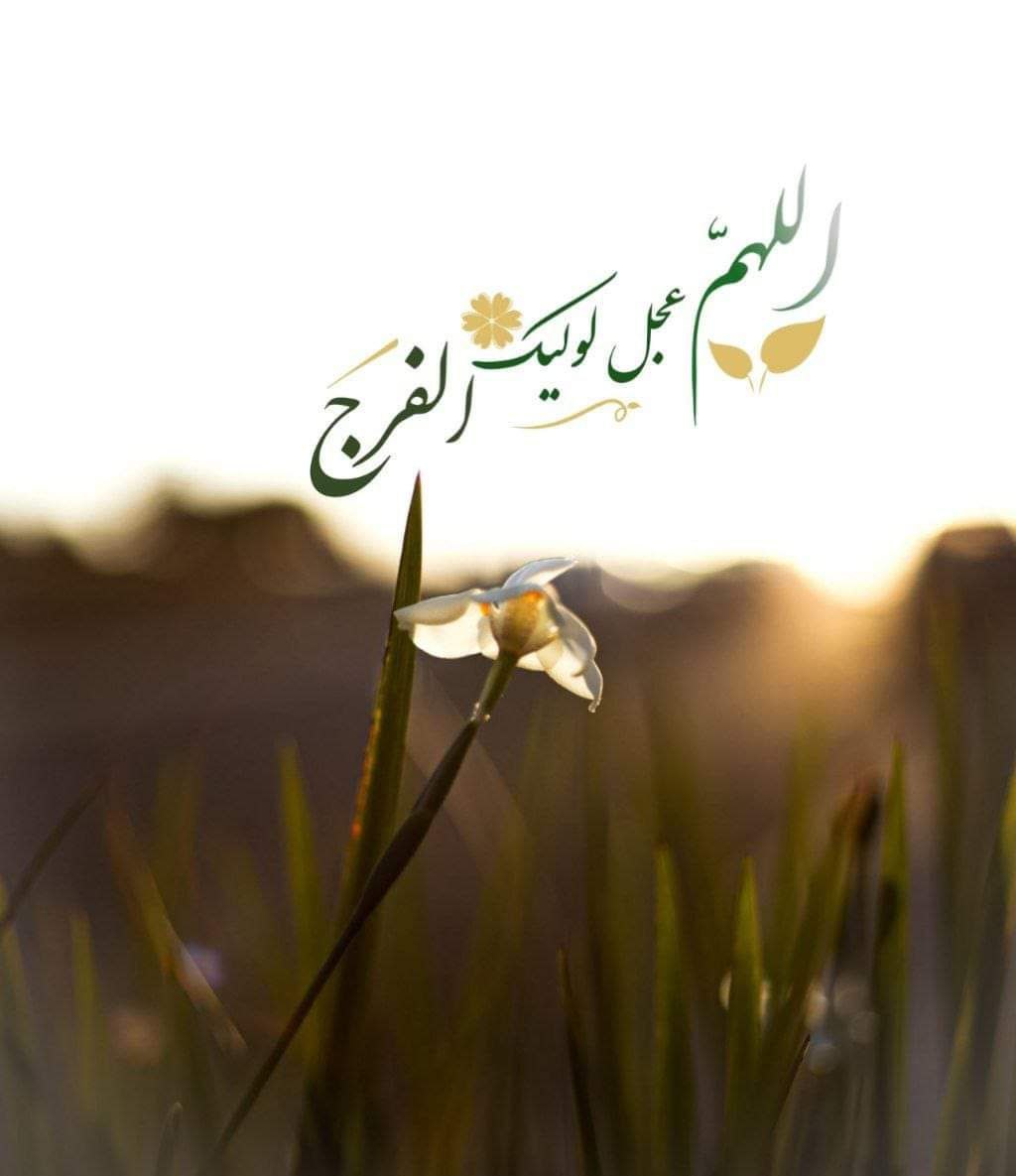وأشهد بأني أطوف عشقًا بين طرقات الحنين باحثًا عنك، 
وكأنّي أرى الأشياء جَميعها أنت..

اللهم عجّل لوليّك الفرج..
السلام عليك بجوامع السّلام.. 
#يا_صاحب_الزمان